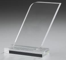 Fin Award