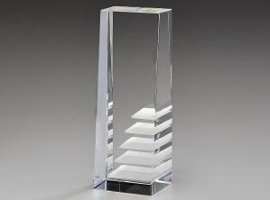 Steps to Success Award