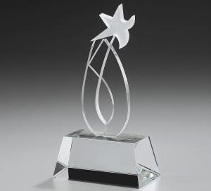 Dynamic Ice Award