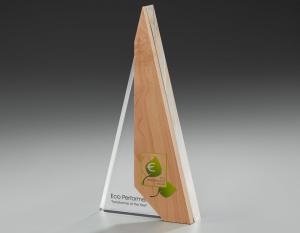 Pendant Award