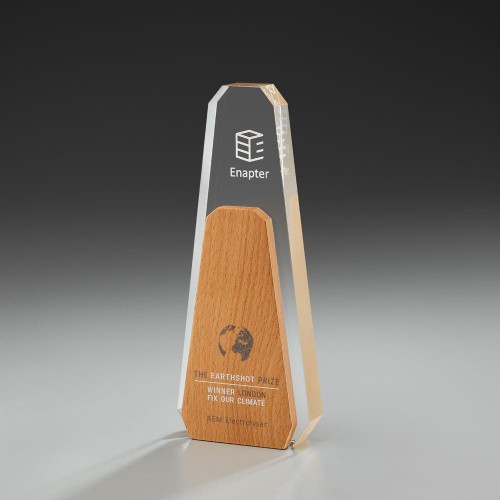 Aspen Award