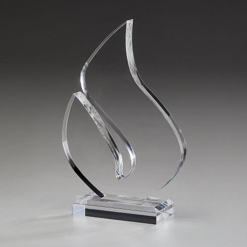 Brilliance Award