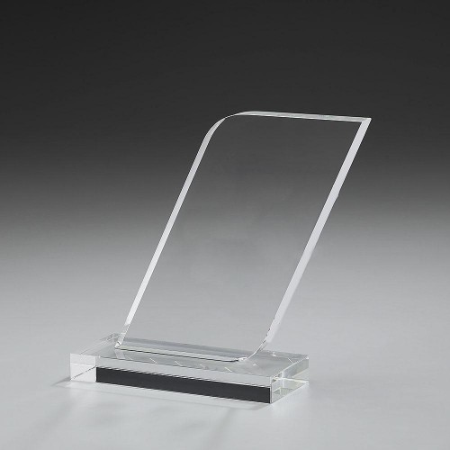 Fin Award