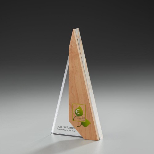 Pendant Award